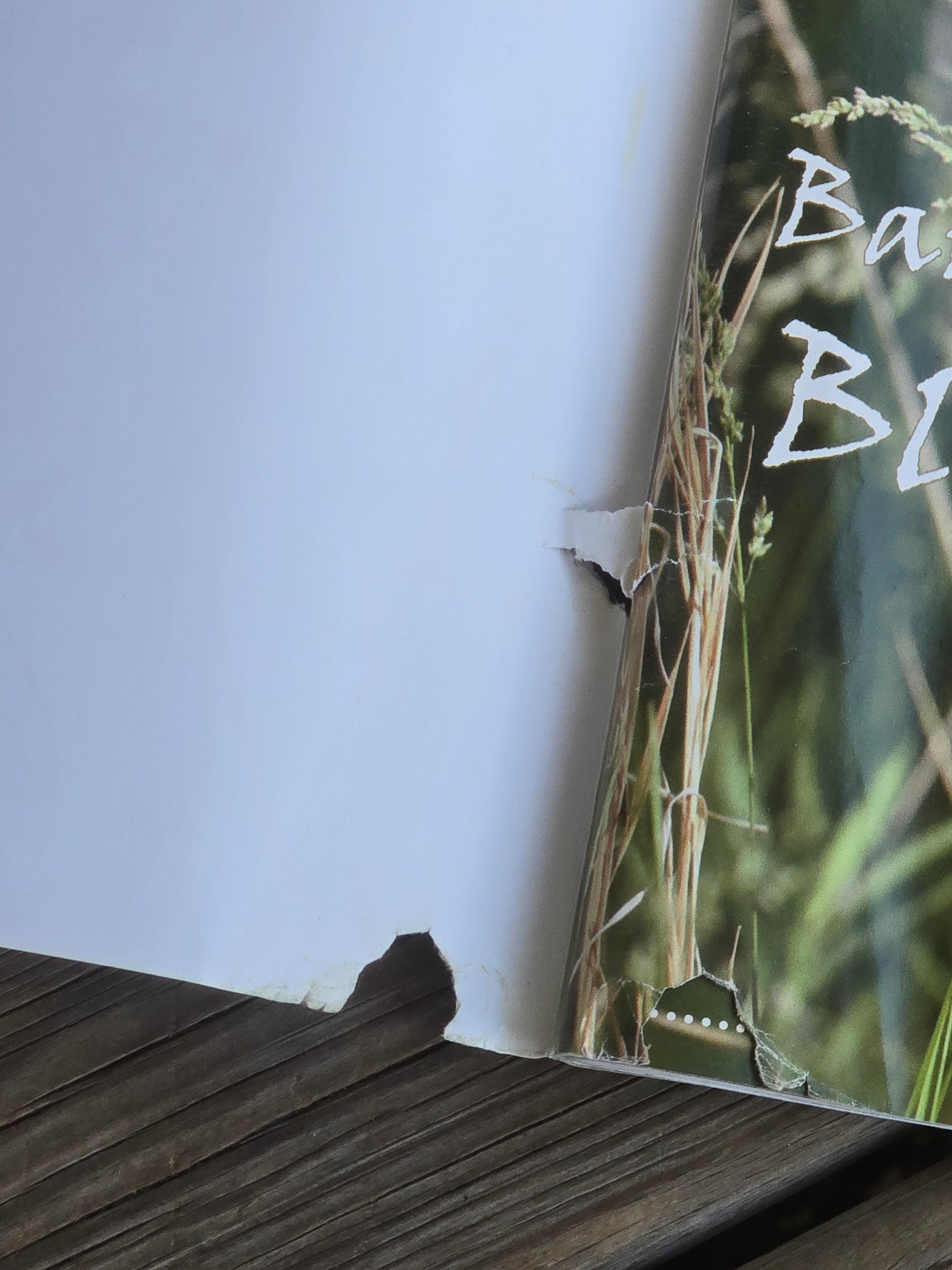 Blackbird Designs - In the Meadow - Quilt Book