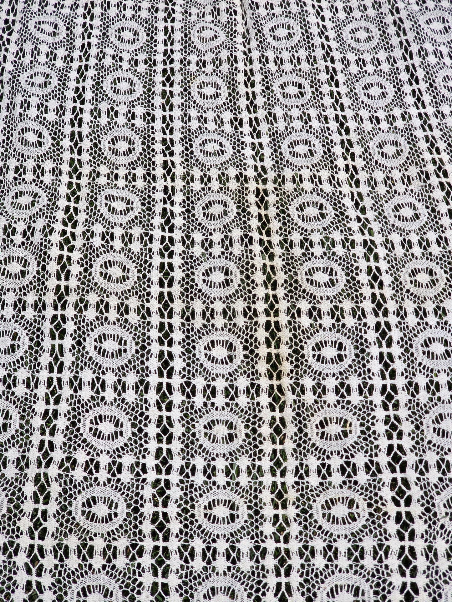 Lace Fabric - 57"w - Fabric