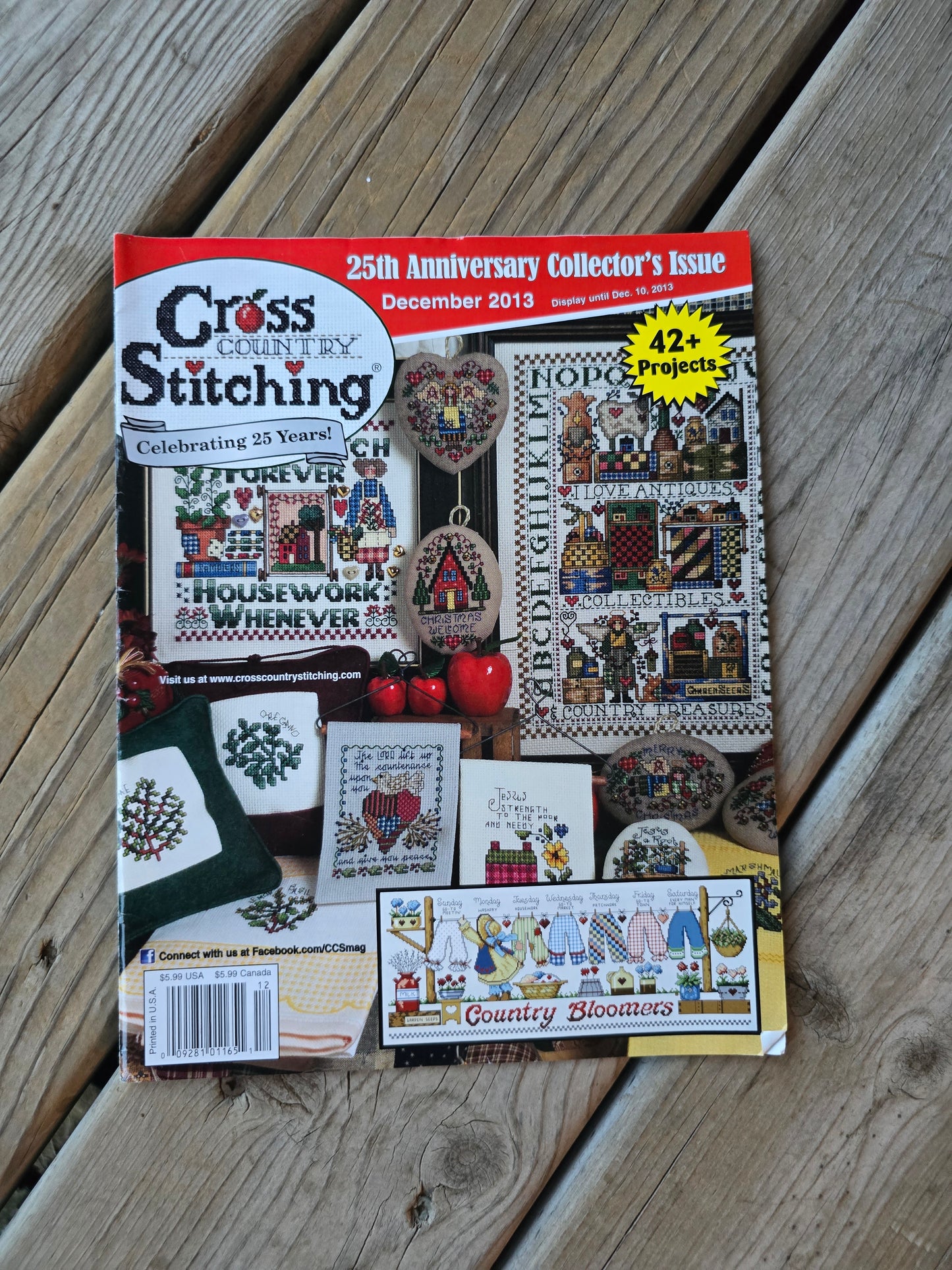Cross Country Stitching Magazine - 2013 Bundle