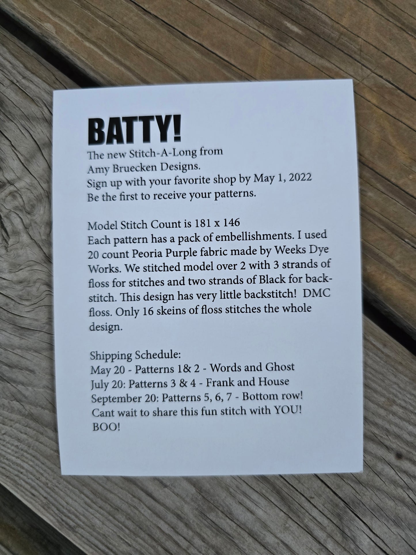 Amy Bruecken Designs - We Are All a Little Batty - Completed Cross Stitch