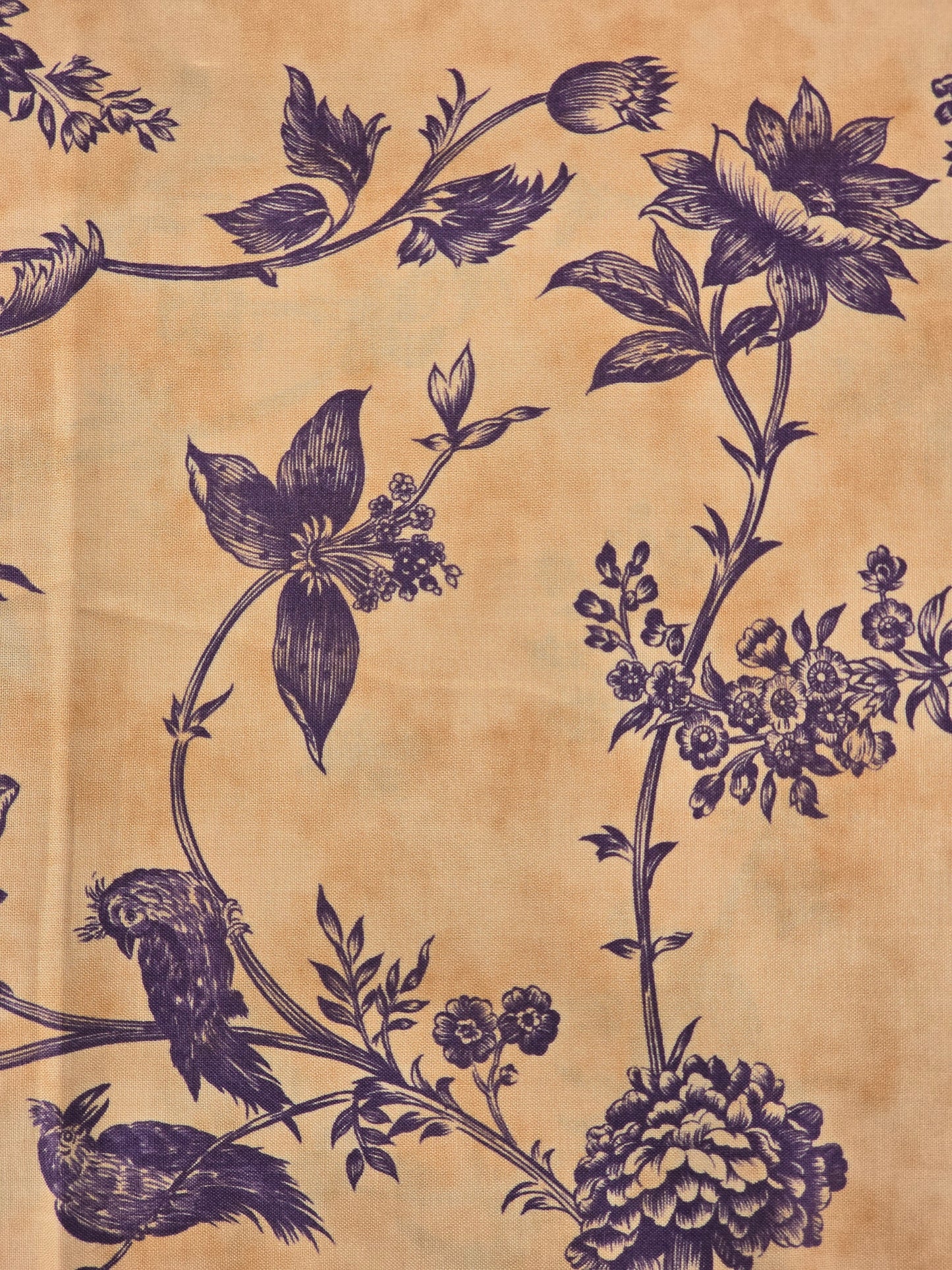 Moda - Barbara Brackman/Terry Clothier Thompson - Floral Trails - Quilting Fabric - 4 Yards