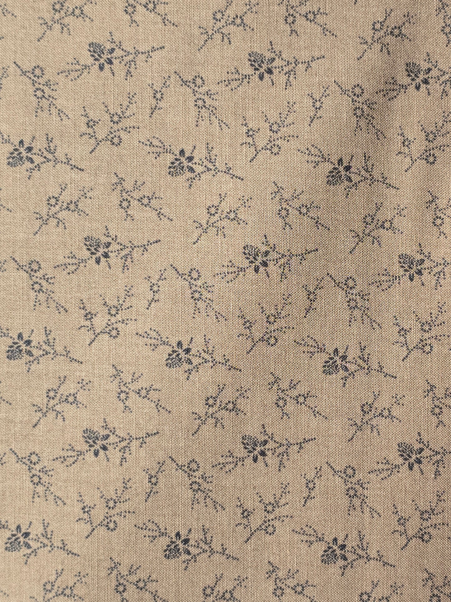 Marcus Fabrics - Molly B's Studio - Basics Borders & Backs Collection - Quilting Fabric - Off the Bolt