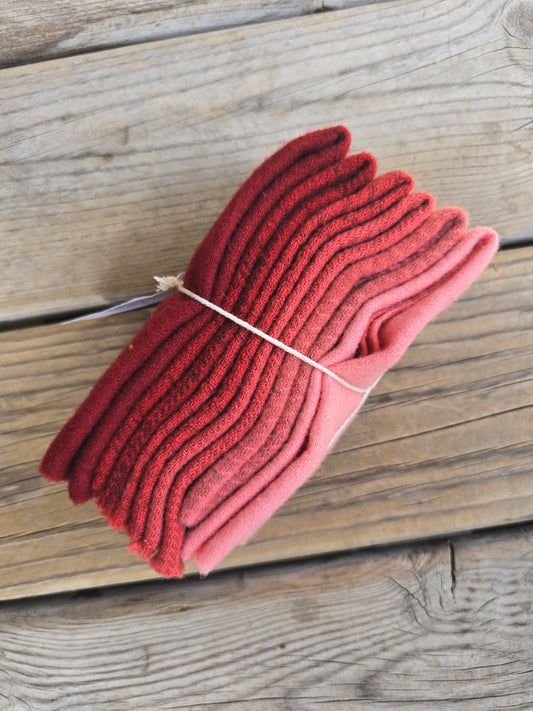 Petals and Blooms - Hand-Dyed Wool Bundle - Fat Sixteenths - Egyptian Red