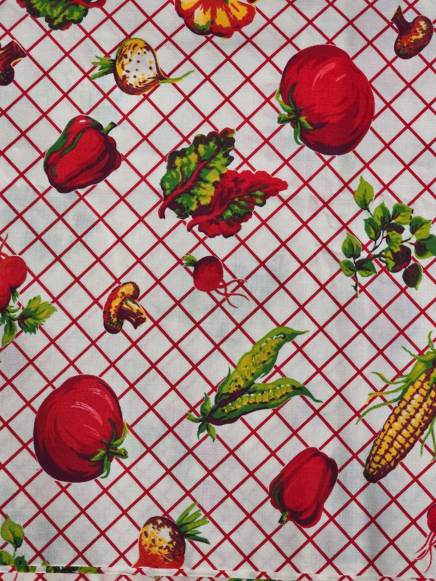 Moda - Pat Sloan - Eat Your Fruits n' Veggies - Quilting Fabric - Yardage