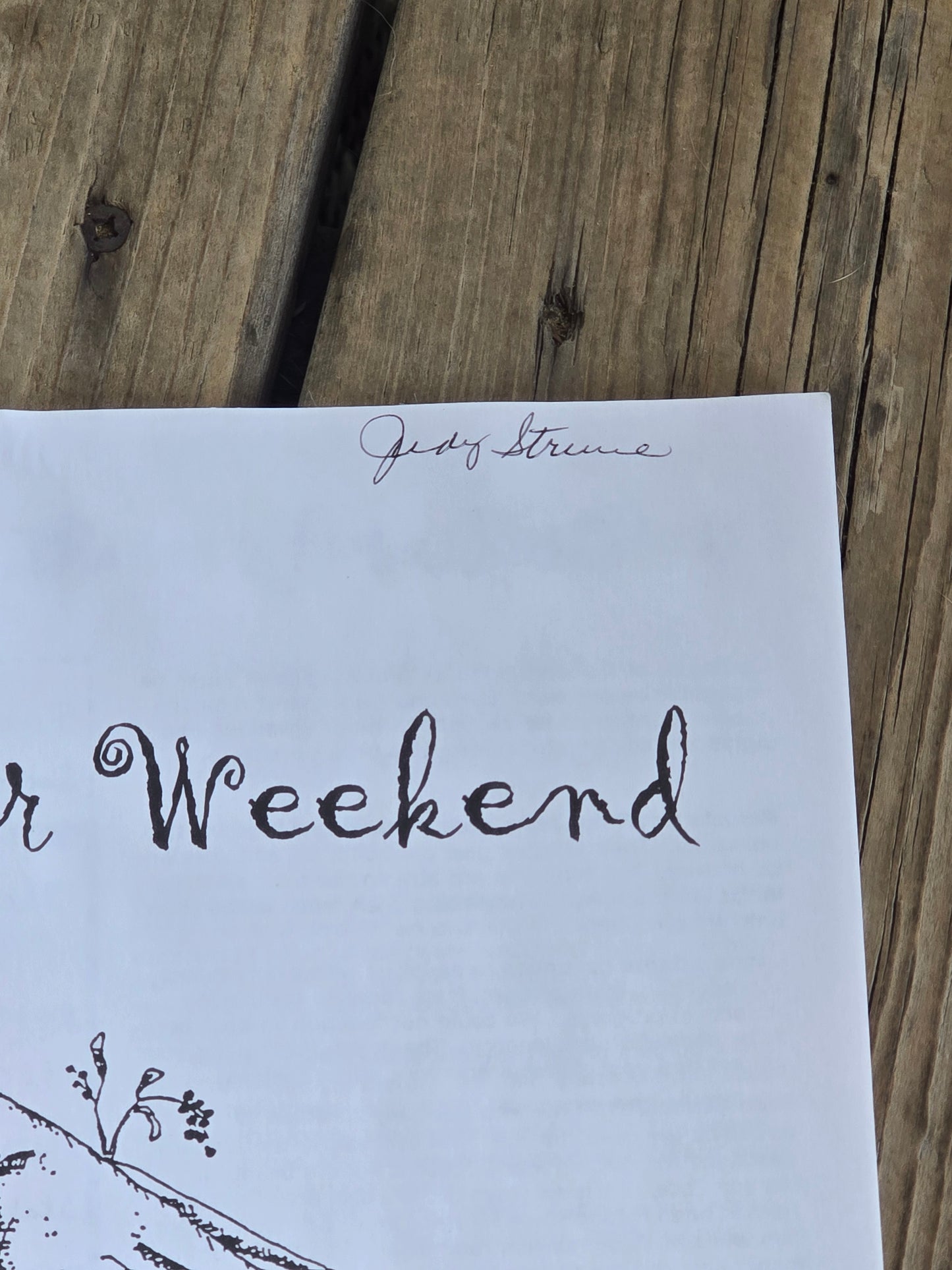 Blackbird Designs - Summer Weekend - Quilt and Cross Stitch Book