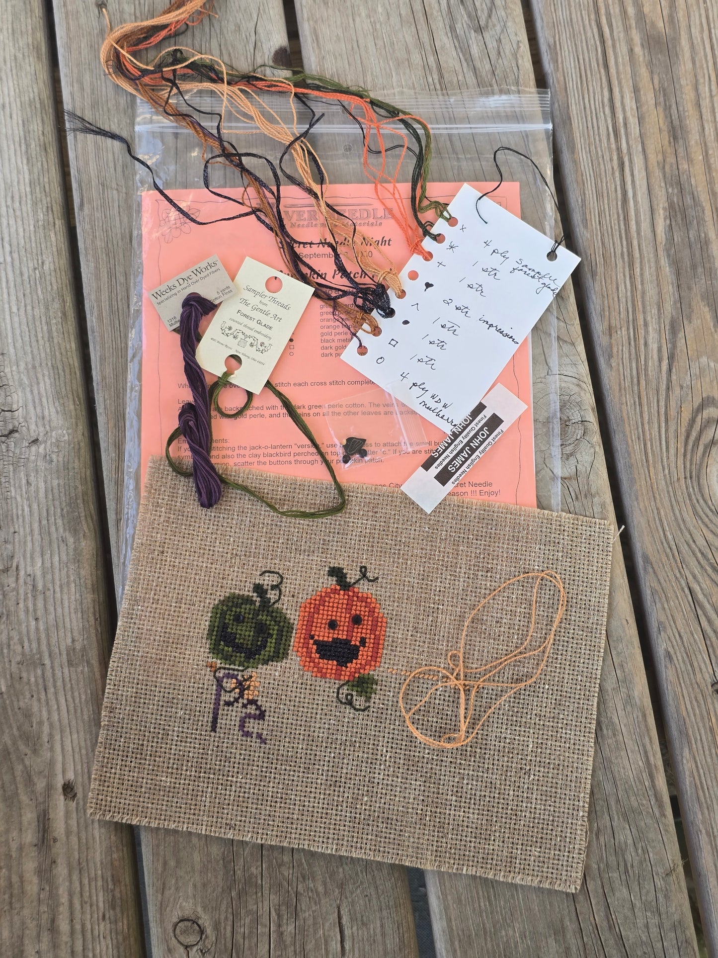 The Silver Needle - Pumpkin Patch Pals - Cross Stitch Kit