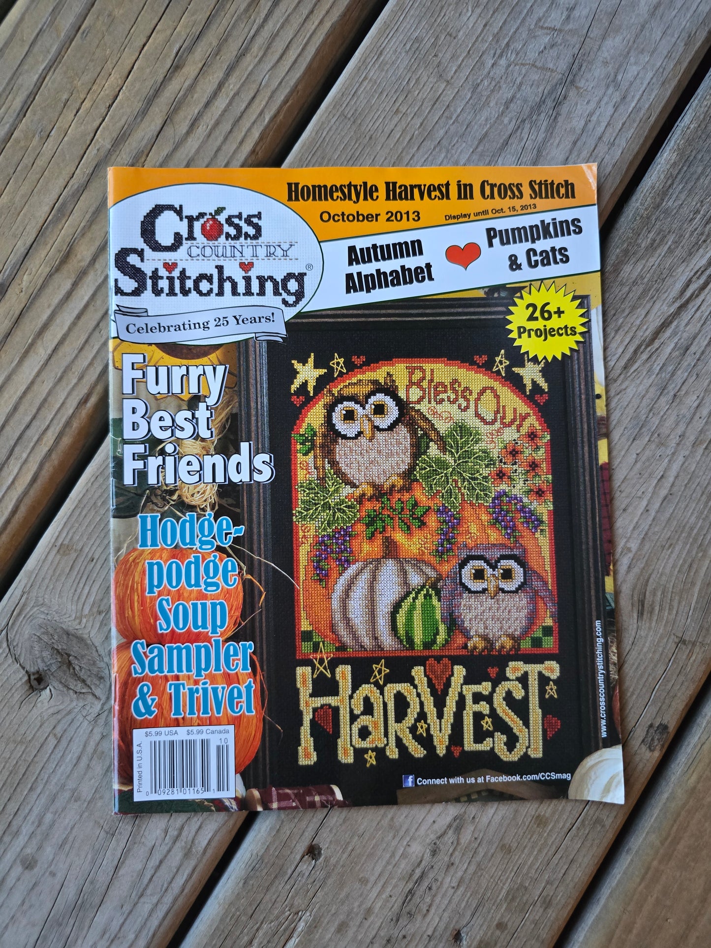 Cross Country Stitching Magazine - 2013 Bundle