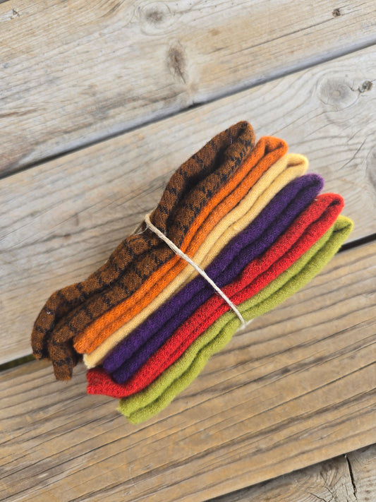 Petals and Blooms - Hand Dyed Wool Bundle - Fat Sixteenths - Fall Bright