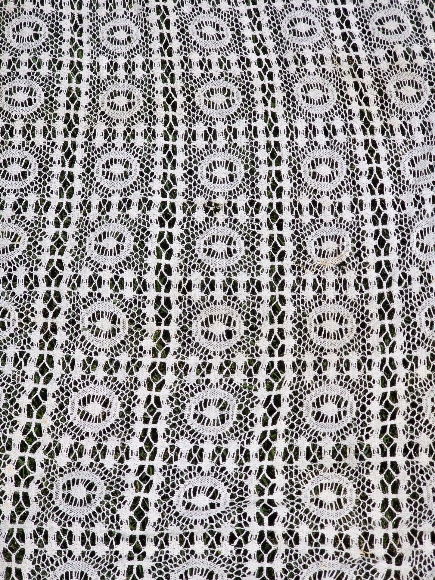 Lace Fabric -  57"w - Fabric