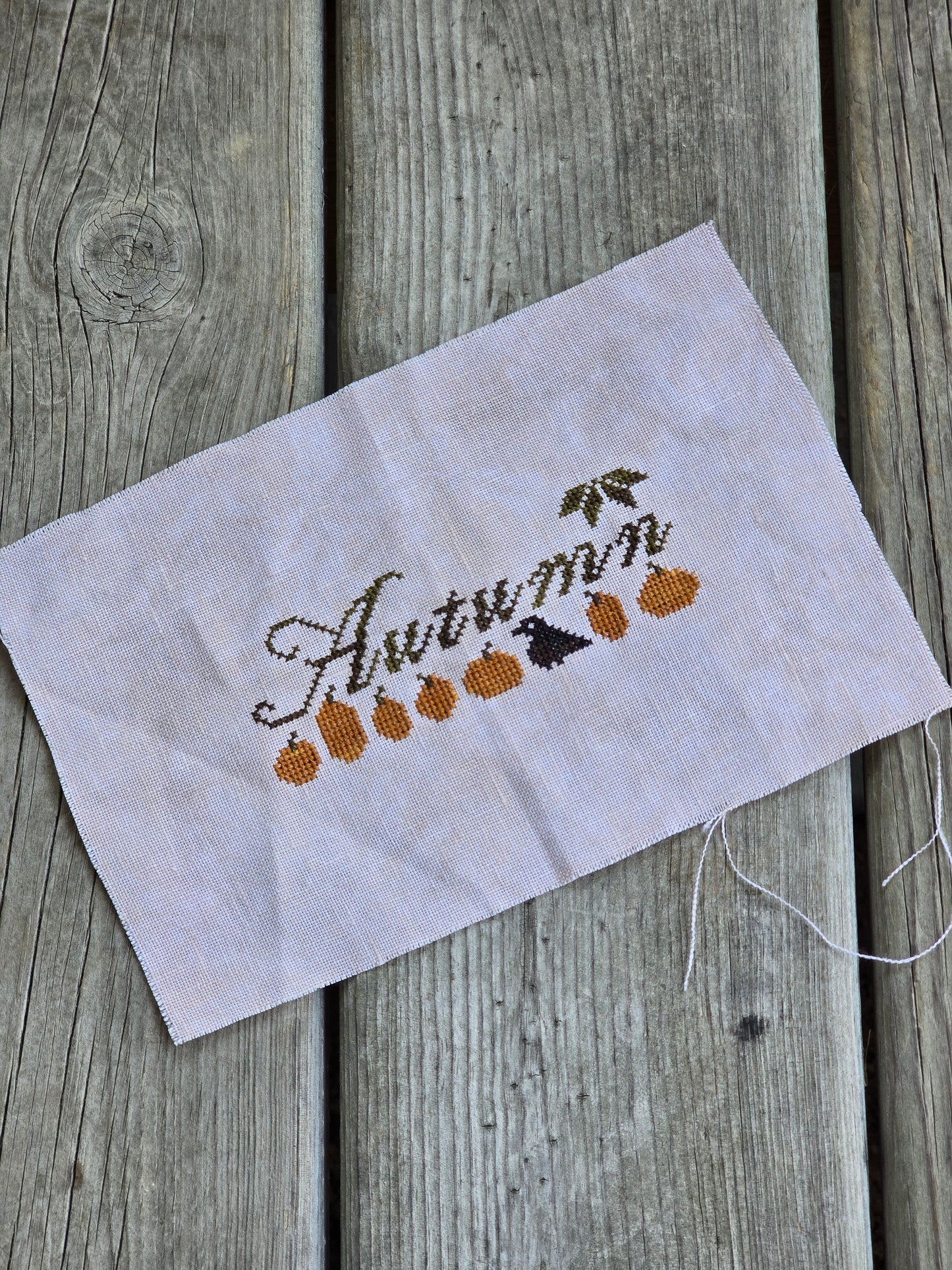 Designer Unknown - Autumn - Completed Cross Stitch