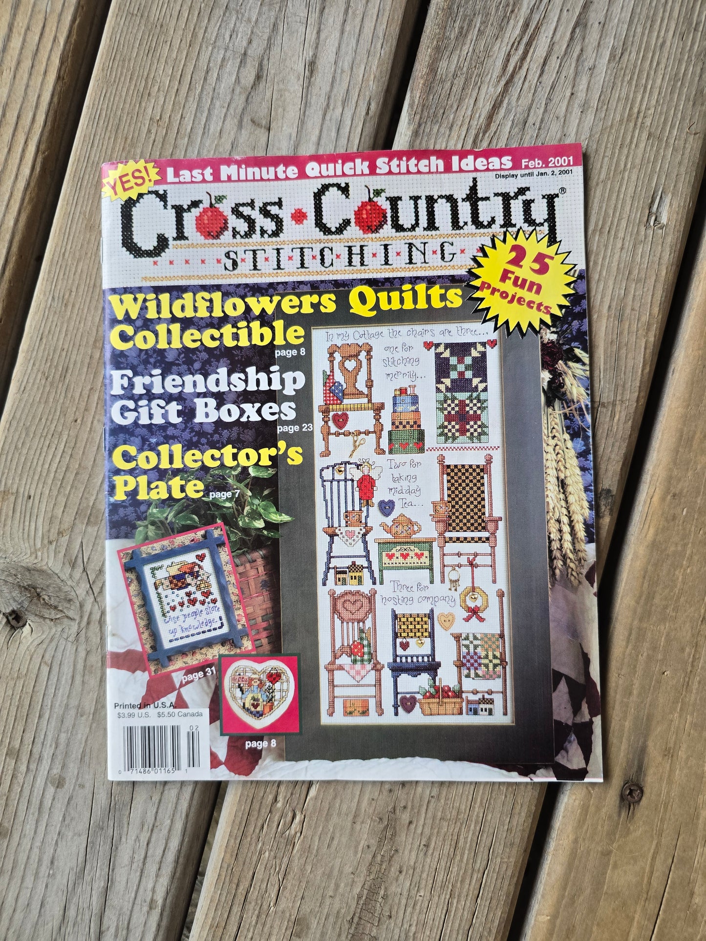 Cross Country Stitching Magazine - 2001 Bundle