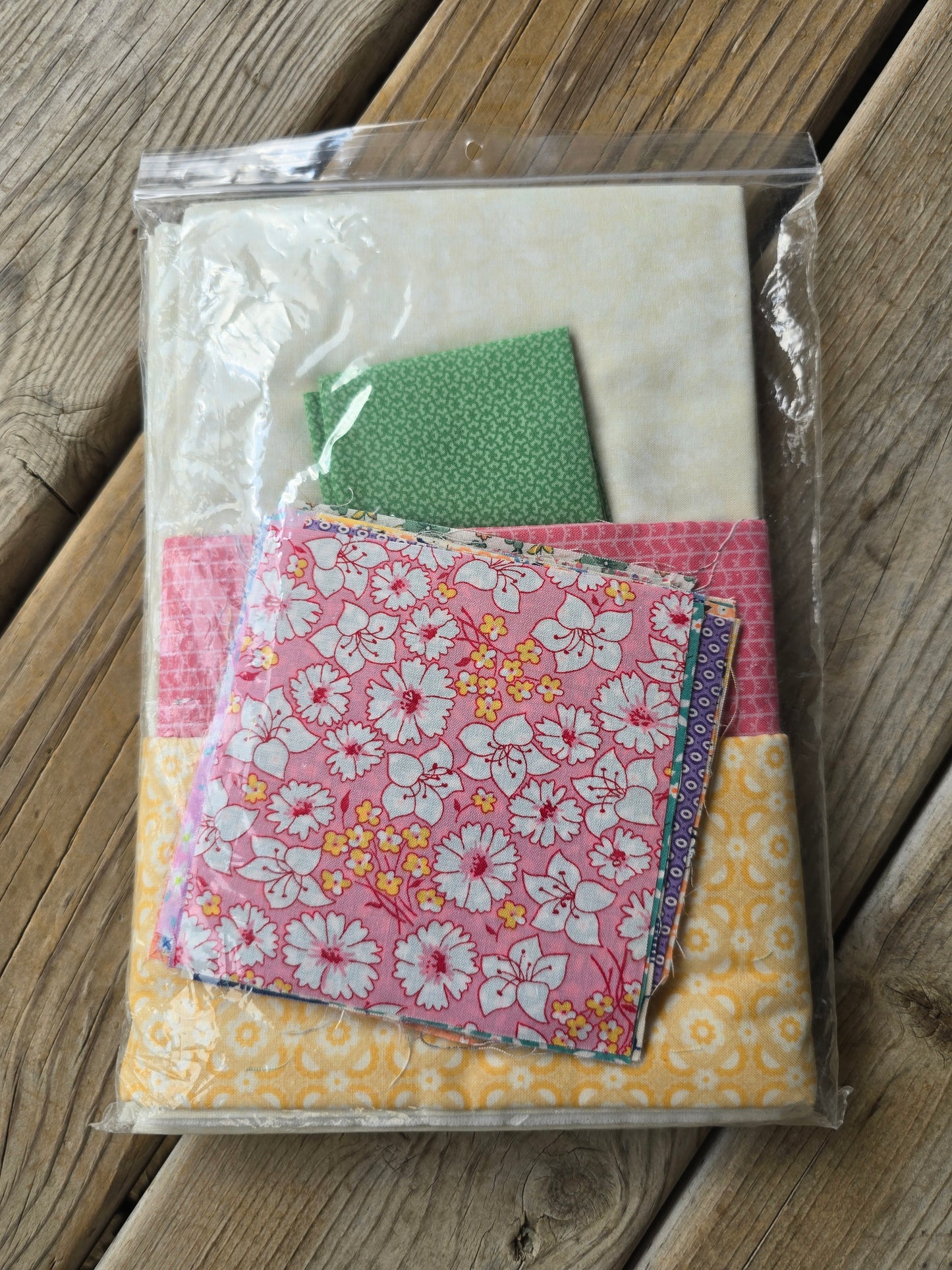 Bloom Creek - Dresdens on the Vine - Quilt Kit
