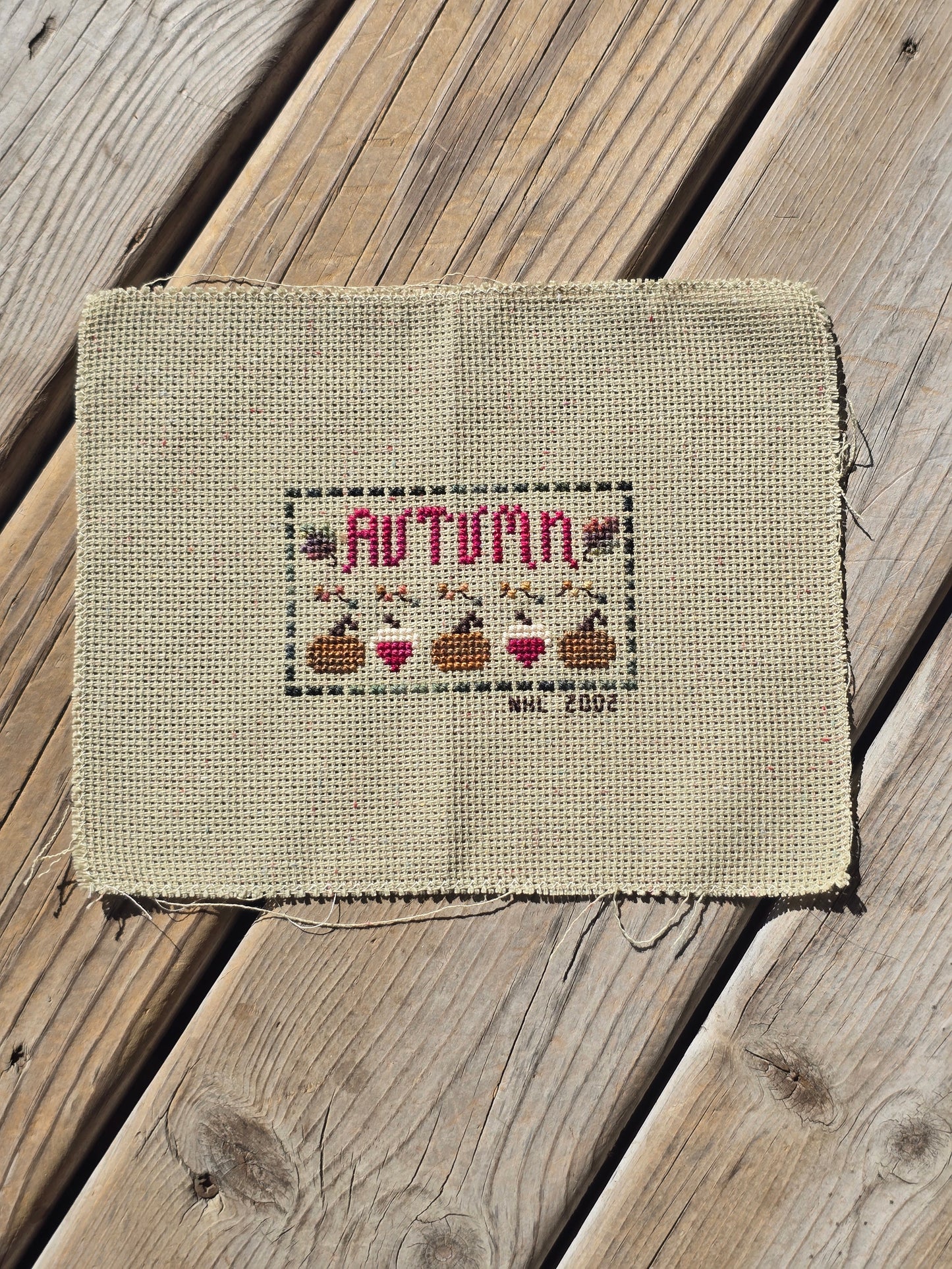 Autumn Pumpkin and Gourd - Completed Cross Stitch