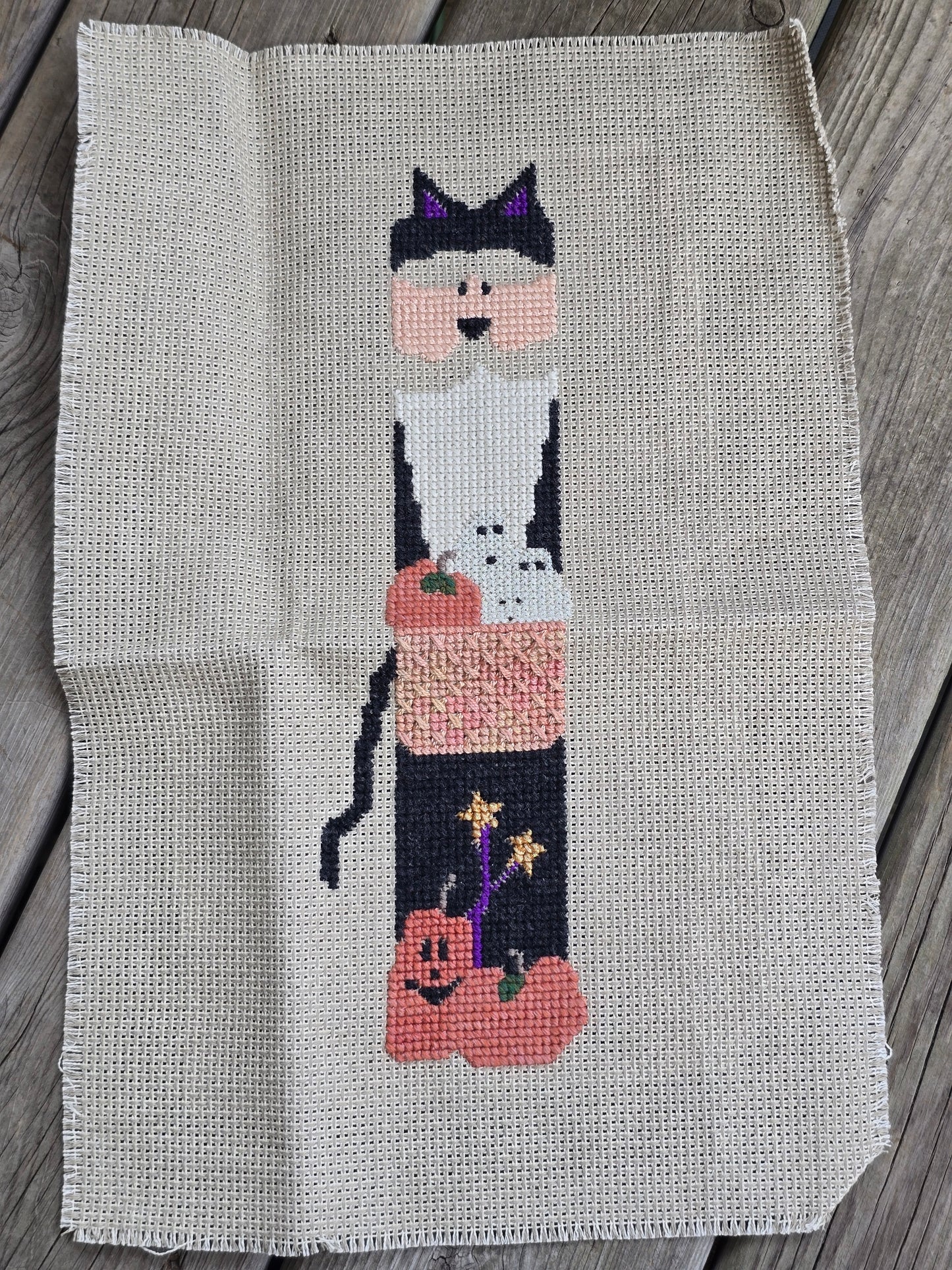 Holiday Sparrow Designs - One Cool Cat - Partially Completed Cross Stitch
