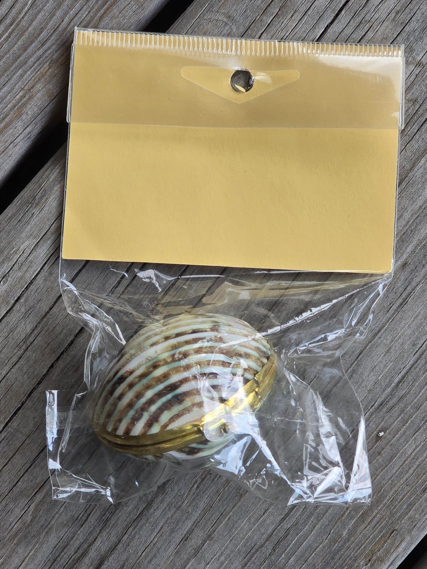Lacis - Needlework Shell Case - Notions