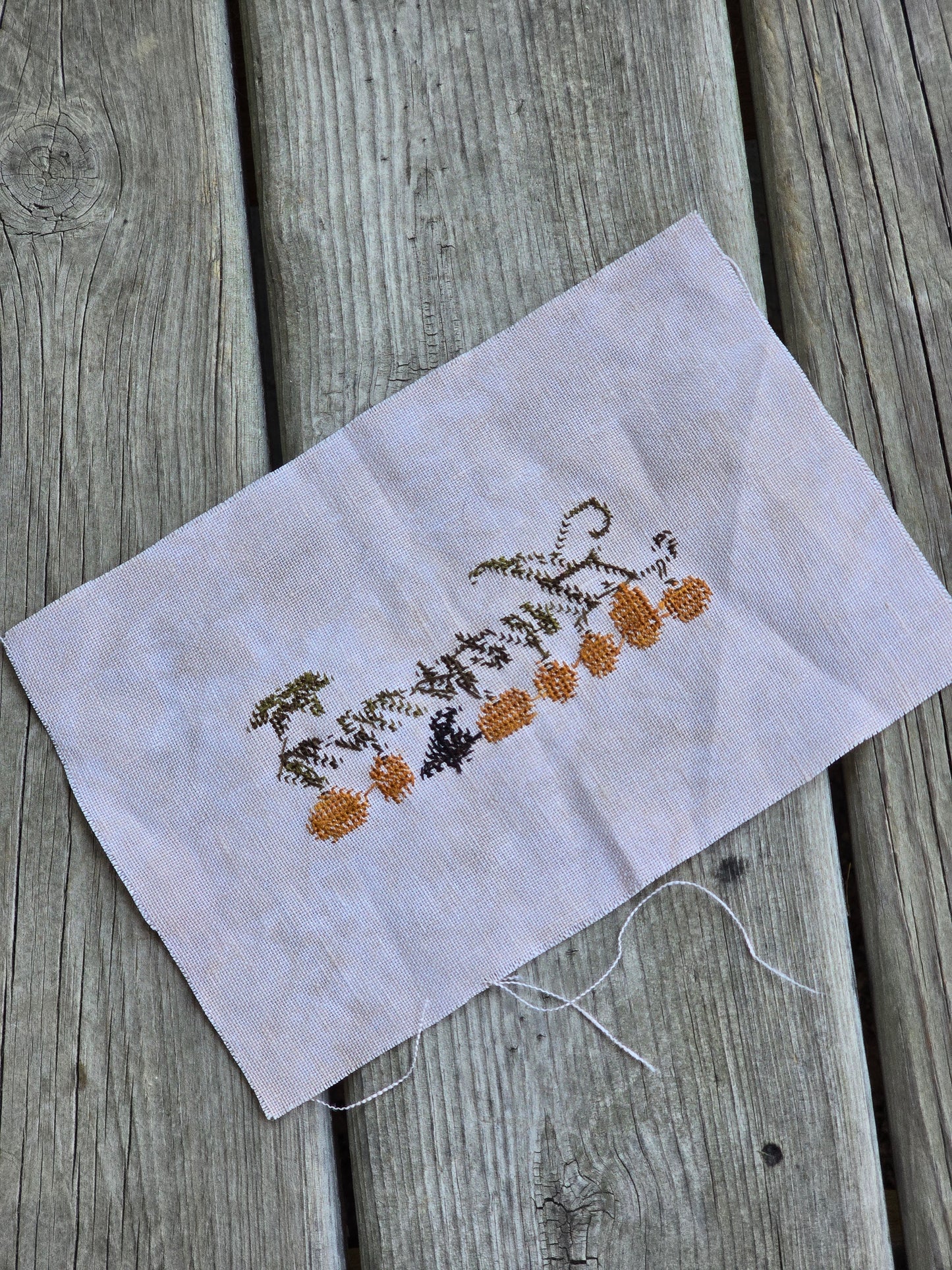 Designer Unknown - Autumn - Completed Cross Stitch