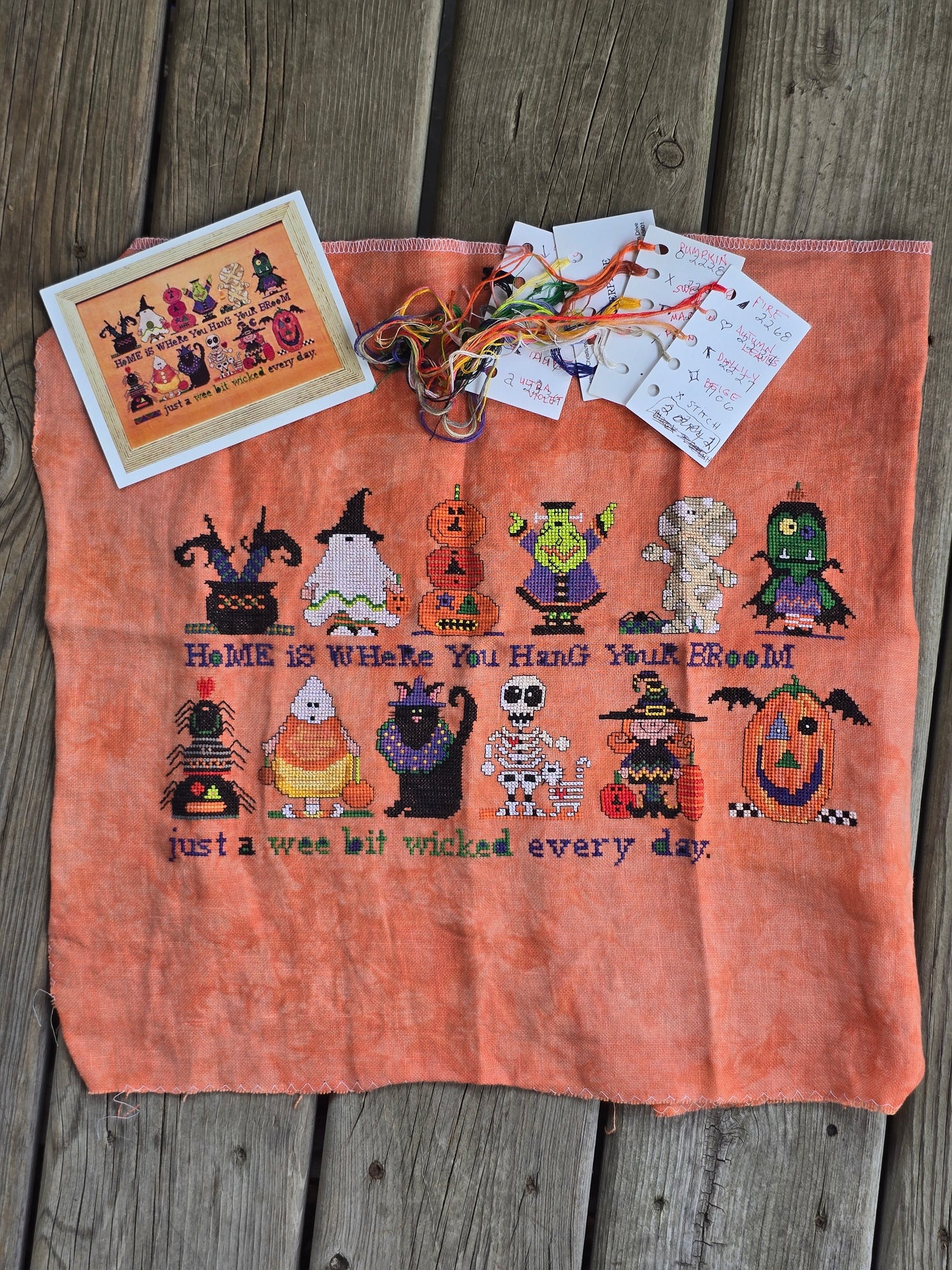 Amy Bruecken Designs - Lucky 13 - Partially Completed Cross Stitch