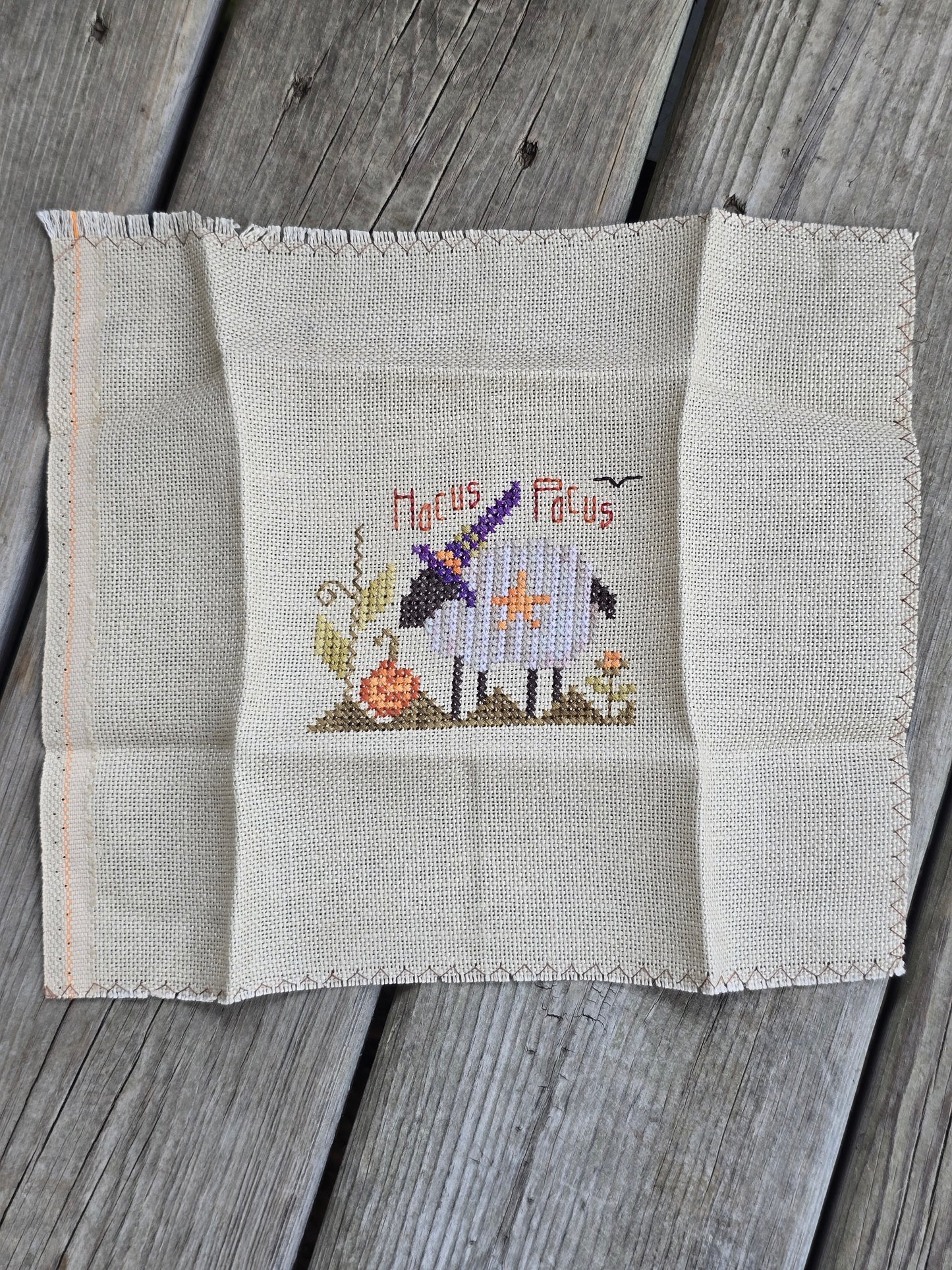 Shepherd's Bush - Hocus Pocus - Completed Cross Stitch