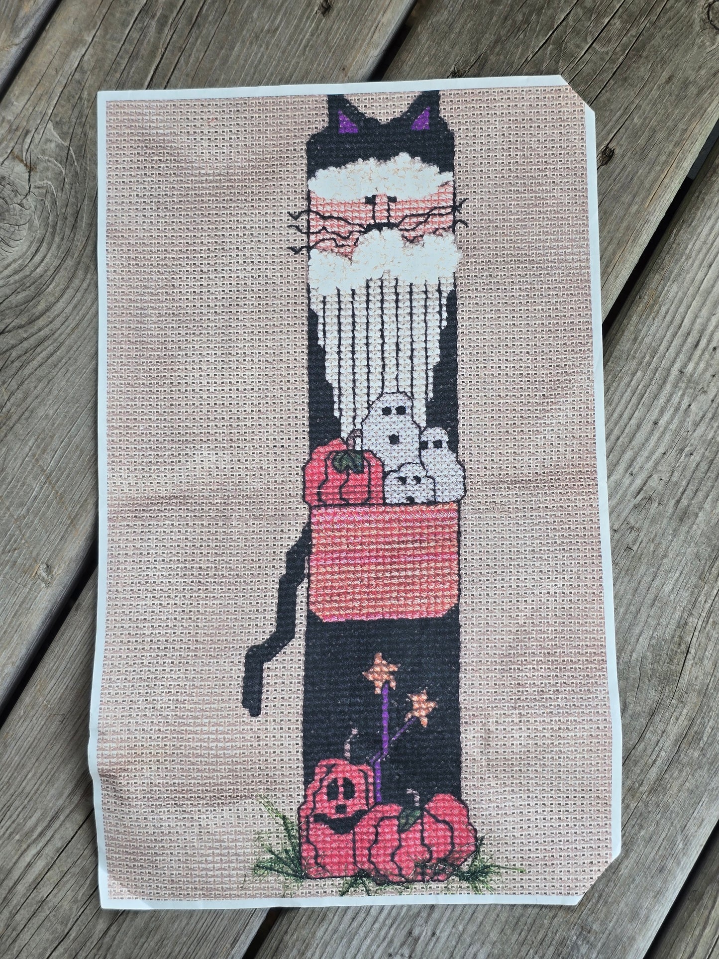 Holiday Sparrow Designs - One Cool Cat - Partially Completed Cross Stitch