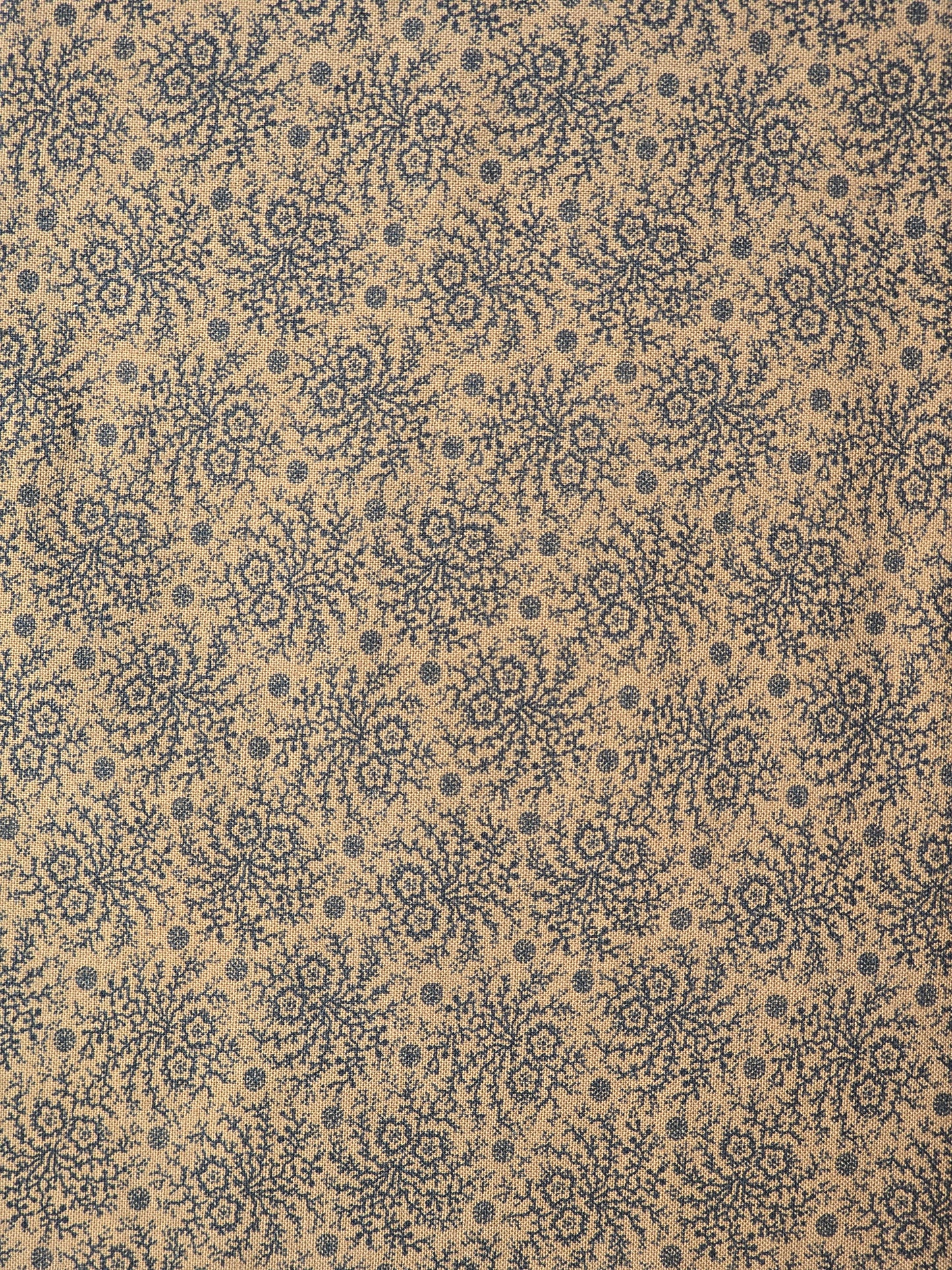 Marcus Fabrics - Paula Barnes - Paula Barnes Companions Collection - Quilting Fabric - Off the Bolt